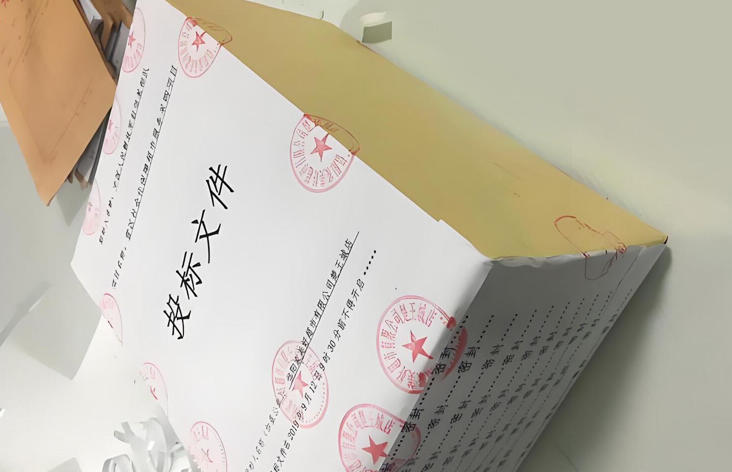 评标专家评标重点看哪些内容